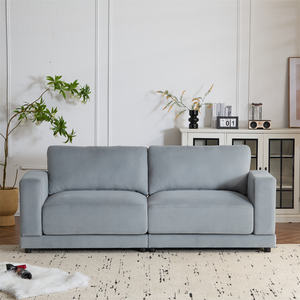 Canapé moderne carré <span class=keywords><strong>2</strong></span> <span class=keywords><strong>places</strong></span> avec accoudoirs standard, revêtement en velours doux, coussins profonds, pieds robustes en gris pour salon - Product Image 2