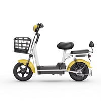 Vélo Électrique Urbain 14 Pouces Direct Usine, Batterie Plomb-Acide Rechargeable 48V 12A, Vélo Électrique Adulte 350W