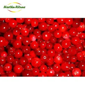 Iqf Lingonberry Fruit Bessen