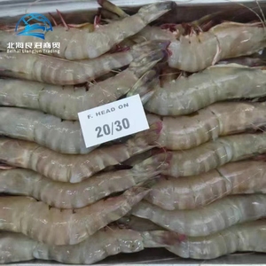 Camarones Blancos de Mar de Alta Calidad, Cultivados en Interiores, Congelados Frescos en Caja, BQF, Camarones Vannamei Vivos, Camarones Tigre sin Cabeza, Fritos - Product Image 3