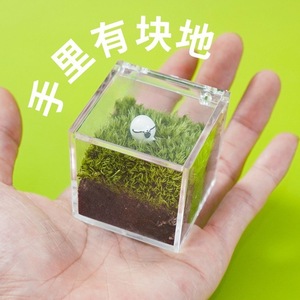 Desktop moss miniature landscape, office worker's ox and horse creative green plant ornament, DIY gift, graduation season gift - Product Image 1