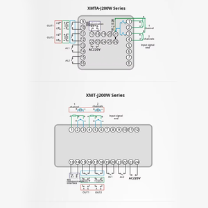 Controlador de Temperatura Inteligente de Dos Canales y Dos Vías con Pantalla Digital LED, Salidas de Alarma, Programación de Puntos de Referencia, Retención de Datos, <span class=keywords><strong>2</strong></span> Años de Garantía - Product Image 4