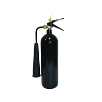 Extincteur à CO2 noir sans résidus de 2 kg avec buse professionnelle pour lutte rapide contre les incendies électriques