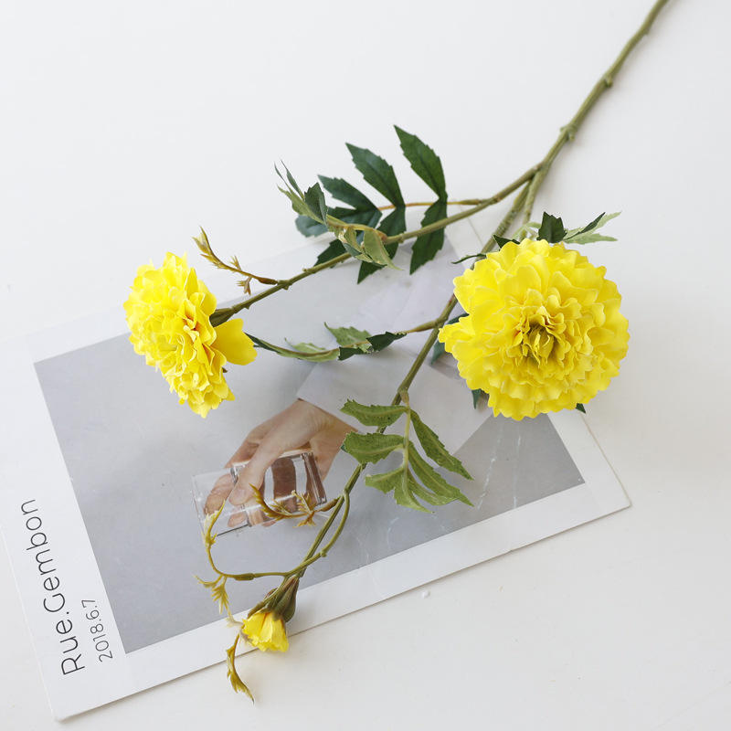 สีเหลือง