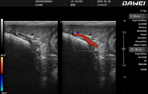 Dawei Vet Ultrasonido Escáner Animal Pet <span class=keywords><strong>Clinic</strong></span> Máquina de ultrasonido portátil - Product Image 6
