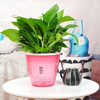 Kualitas tinggi otomatis air anggrek bibit bunga Pot Pot Pot tanaman plastik diri penyiraman Pot