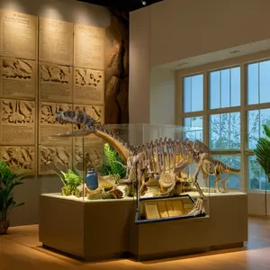 Decoración del parque esqueleto de dinosaurio esqueleto de fibra de vidrio fósil para la venta
