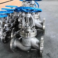 Vanne d'arrêt en acier inoxydable 316L haute performance, directement de l'usine, pour systèmes à vapeur et à huile haute température