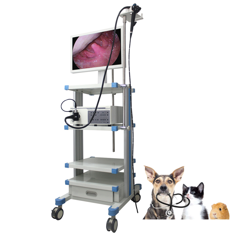 Veterinary Animal Endoscope I M-LGM0790