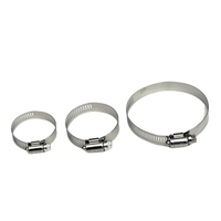 Kit de colliers de serrage à vis sans fin en acier inoxydable 304 réglable Gamme 1/4 (6-51mm) Plomberie de conduite de carburant assortie pour système métrique