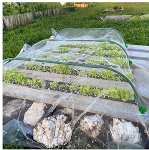 Plastic Coated Lightweight Durable Grow Tunnel Support <strong>Frame</strong> Garden Hoops <strong>for</strong> <strong>Raised</strong> <strong>Beds</strong> 6 Sets DIY Greenhouse - Product Image 3