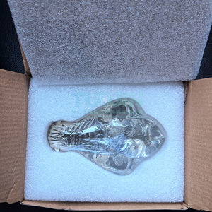 Şeffaf köpek diş hayvanlar Oral diş çene modeli reçine kafatası diş anatomik veteriner eğitim anatomi mankeni - Product Image 5