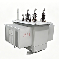 Transformateur immergé dans l'huile 200 kVA 10 kV S13 triphasé abaisseur de tension 10000 V à 400 V pour distribution extérieure