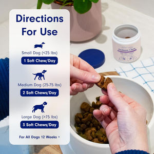 Suplemento probiótico para mascotas, tabletas masticables blandas que mejoran la vitalidad intestinal y mejoran la salud intestinal <span class=keywords><strong>de</strong></span> las mascotas, función digestiva - Product Image 3