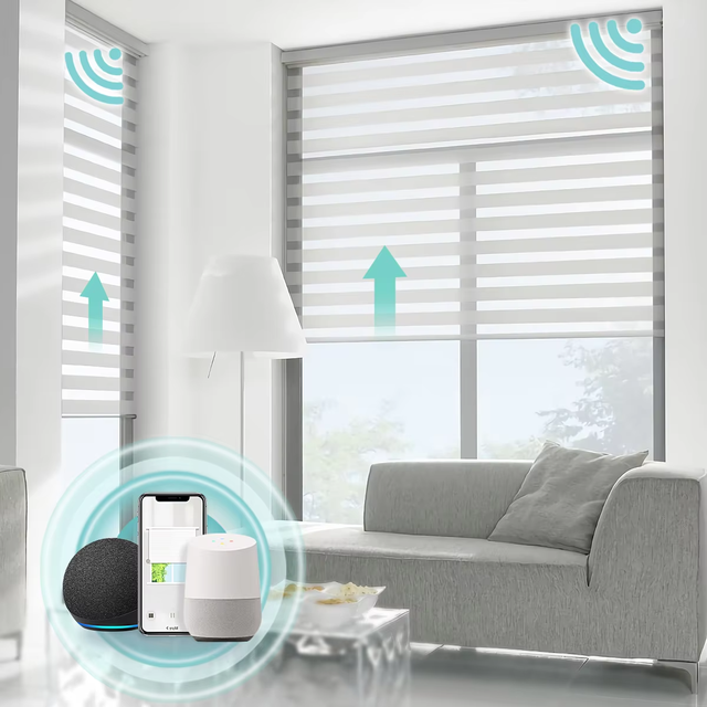 Cordless Blinds Matter Motorized Window Shade Blackout Roller Controlled Battery Operated Wifi Smart Home Zebra Blind