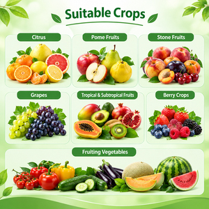 Fertilizante Líquido de Aminoácidos OEM con Bioestimulante de Boro <span class=keywords><strong>y</strong></span> Zinc <span class=keywords><strong>para</strong></span> una Expansión Uniforme de los Frutos <span class=keywords><strong>y</strong></span> Mejora de la Vitalidad de las Raíces - Product Image 3