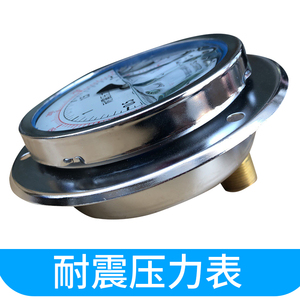 Manómetro Axial Resistente a Vibraciones YN-100ZT 0-2.5MPa para Medición de Presión Hidráulica, Neumática, de Aceite y Agua - Product Image 2
