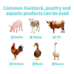 Aceite de hígado de bacalao concentrado, vitaminas de grado alimenticio para pollos, patos, gansos, cerdos, ganado, ovejas, promueve el crecimiento, mejora el huevo, China, Hubei - Product Image 4