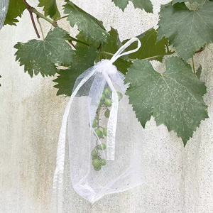 ถุงตาข่ายป้องกันแมลงสำหรับผลไม้ ผลิตจากพลาสติก HDPE บริสุทธิ์ 100% <span class=keywords><strong>ขาย</strong></span>ดีในจีน/ถุงตาข่ายป้องกันแมลงสำหรับมะม่วง - Product Image 6