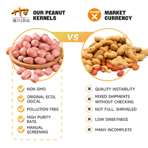 Đậu phộng tươi Hanjiang cỡ lớn dùng cho chế biến tại nhà máy bánh kẹo - Product Image 2