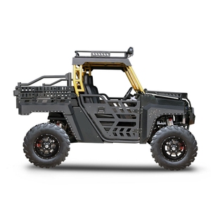 UTV 1000cc 4X4 Off Road Dune Buggy