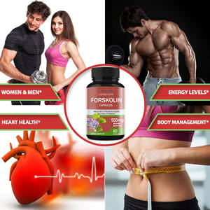 Harga terbaik suplemen <span class=keywords><strong>Forskolin</strong></span> ekstrak Coleus <span class=keywords><strong>Forskolin</strong></span> kapsul pelangsing Vegan Coleus <span class=keywords><strong>Forskolin</strong></span> untuk manajemen berat badan - Product Image 6