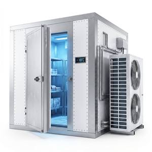 Cella Frigorifera Professionale con Raffreddamento ad Aria da -18°C a -25°C, Stoccaggio Modulare per Alimenti Congelati, Vaccini e Medicinali - Product Image 6