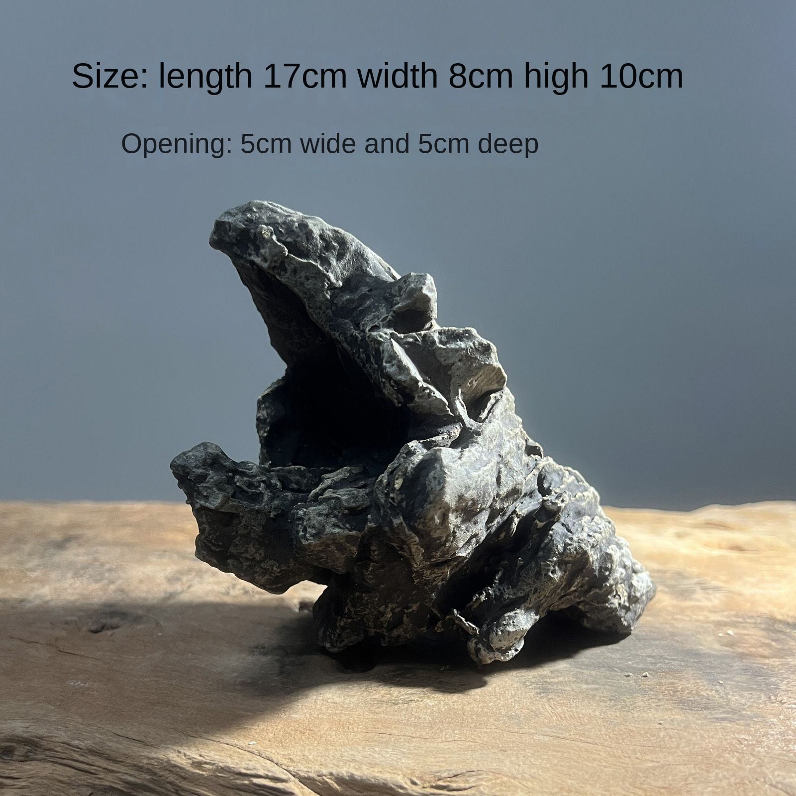 Prehistoric Giant Crocodile (High Permeability Ceramic) (0.48KG)