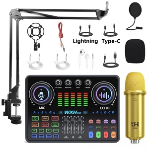 Mezclador de Audio Profesional WXH1000+DJ20, Micrófono de 48V, Multifunción para Estudio, Karaoke, Podcast, Grabación, Transmisión en Vivo, Inalámbrico - Product Image 1