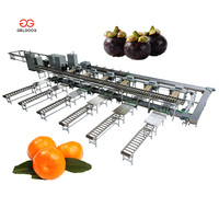 Kleine, snelle avocado sorteermachine, kalibratie- en verpakkingsinstallatie, droog- en sorteermachine voor avocado's