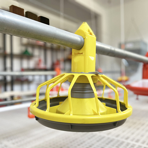 Machine de fabrication d'aliments pour volailles, mangeoires et systèmes d'élevage automatique pour poulets - Product Image 6