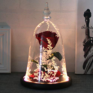 Fábrica OEM The Beauty Beast Rose Bell Forever Enchanted Rose Flor de larga duración Cúpula de cristal Rosa eterna - Product Image 2