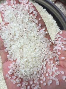 Riz japonica blanc de qualité supérieure Camolino à grains courts du Vietnam séché WA 0084 989 322 607 vente en gros - Product Image 6