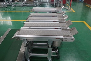 Bifa Ss304 Stainless Steel Metal Wire Mesh Cinta Transportadora De Malla Motorized <strong>Belt</strong> <strong>Conveyors</strong> System - Product Image 5