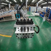 Machine de pompe de revêtement automatique élevée ShuangDa 80 kg/h sortie 90mm vis 12:1 rapport L/D pour plastique/papier/bois/feuille d'aluminium