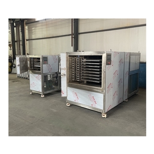 Lyophilisateur de grande capacité pour aliments lyophilisés pour fruits et légumes avec <span class=keywords><strong>pompe</strong></span> <span class=keywords><strong>à</strong></span> vide - Product Image 3