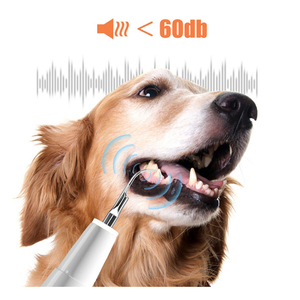 Détartreur dentaire électrique ultrasonique électrique pour dents d'animaux de compagnie - Product Image 3