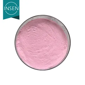 Insen Supply Strawberry Flavour Powder Freeze Dried Strawberry Powder