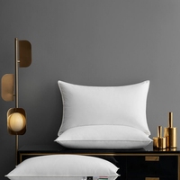 Oreiller de voyage de luxe pour hôtel boutique, forme personnalisée, insert en coton 100 %, hypoallergénique, durable, ajoute une touche décorative unique