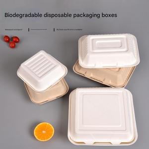 Custom Biodegradable Sugarcane Bagasse 6x6 Inch <b>Burger</b> Hamburger <b>Box</b> <b>Burger</b> Packaging <b>Box</b> Takeaway Food - Product Image 3