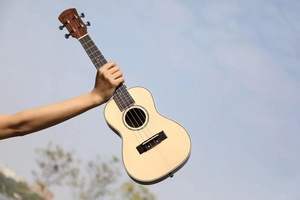 Ukulele de concert 24 pouces et ukulele ténor 26 pouces à prix d'usine, avec table en épicéa massif et dos en palissandre, pour enfant, modèle Caesar US-C40 - Product Image 2