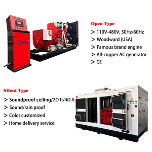 Grupo Electrógeno de Gas Natural y Biogás de 300kw con Motor Cummins de Alta Productividad - Product Image 6