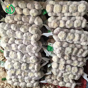 Solicitar presupuesto de verduras Liliáceas paquete pequeño 200g/250g/500g/1kg Alho Ajo ajo fresco elefante ajo para venta al por mayor - Product Image 2