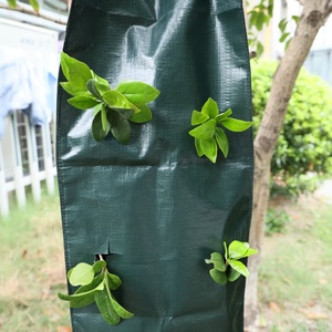 Hanging Strawberry <b>Planter</b> Grow Bags, 9 Hole <b>Plastic</b> Hanging Vertical <b>Planters</b> Upside Down Garden Bags - Product Image 3