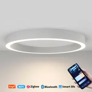 Lâmpada de teto inteligente em atacado, preço, iluminação de quarto, lâmpada de teto led