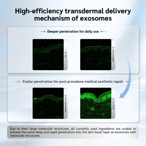 مجموعة إكسو أيون 100 ملغ + 3 مل (طقم واحد) لتعزيز الأداء الذكوري بتقنية حيوية، خلاصة مجففة بالتجميد للعناية المتنقلة، مع فحص جودة صارم - Product Image 3