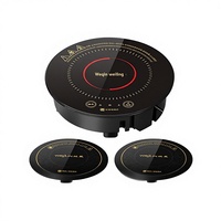 Cuisinière à induction électrique personnalisée, petite, encastrable, ronde, commerciale, 195 mm, 1000 W, étanche, vente en gros sur mesure