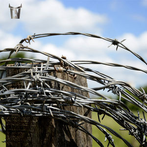 Steel Bull Factory Venta directa Hoja protectora Maquinilla <span class=keywords><strong>de</strong></span> afeitar <span class=keywords><strong>de</strong></span> <span class=keywords><strong>alambre</strong></span> <span class=keywords><strong>de</strong></span> hierro para cercas Acabado galvanizado para fines <span class=keywords><strong>de</strong></span> seguridad <span class=keywords><strong>Alambre</strong></span> <span class=keywords><strong>de</strong></span> púas - Product Image 3