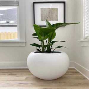 Pot de fleurs en fibre de verre de qualité supérieure, jardinière écologique décorative pour plantes, idéal pour la décoration intérieure et extérieure. - Product Image 5