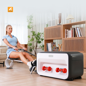 Support de Rangement Multifonctionnel de Haute Qualité pour Équipement de Fitness et Musculation, Rangement d'Haltères Funwe21, Support d'Haltères Ajustable - Product Image 1